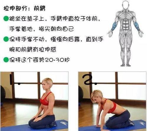 成人拉伸图片大全视频,跟随视频轻松解锁健康体态
