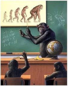 动物修炼成人动画视频,奇幻变身之旅动画解析