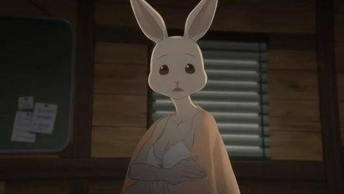 动物修炼成人动画视频,奇幻变身之旅动画解析