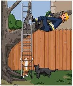 动物修炼成人动画视频,奇幻变身之旅动画解析