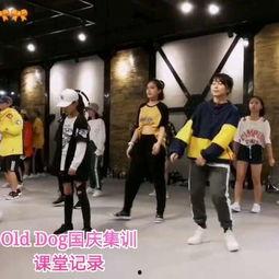 国庆舞蹈成人集训视频,激情绽放,共筑青春梦想