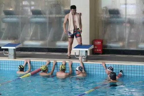 围裙成人游泳视频,趣味教学视频带你畅游夏日