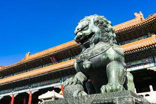 石狮变成人进入皇宫视频,皇宫秘境探秘之旅