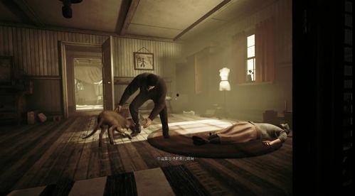 成人绝情视频,揭秘情感断层的秘密