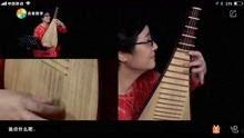 成人可学琵琶吗视频教学