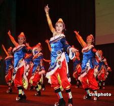 成人西藏舞蹈视频大全,视频大全中的民族风情