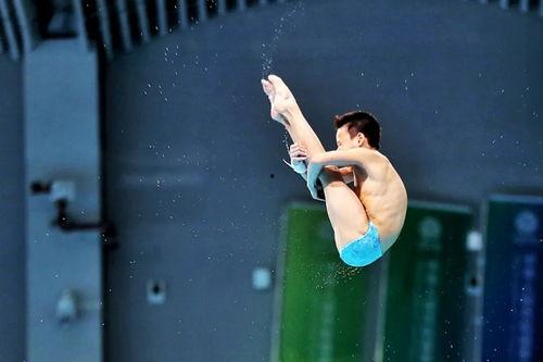 成人跳水教学视频全集,解锁空中艺术之美