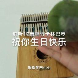 成人拇指琴教学视频,跟随教学视频轻松掌握演奏技巧