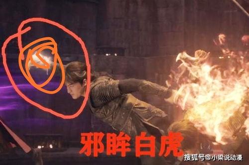 白虎变成人了视频大全,奇观视频大盘点