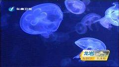 水母它会变成人吗视频讲解