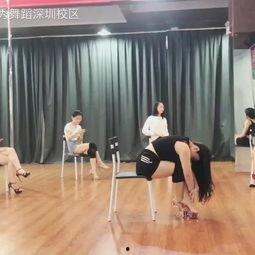 成人教舞蹈视频,轻松学会成人舞蹈技巧