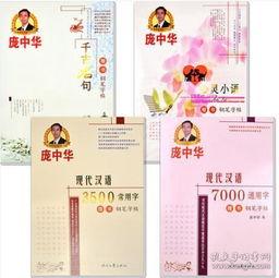 书法成人练字正楷视频大全,视频大全精选解析