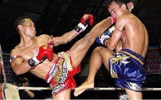 成人拳击格斗视频,成人拳击格斗精彩瞬间回顾