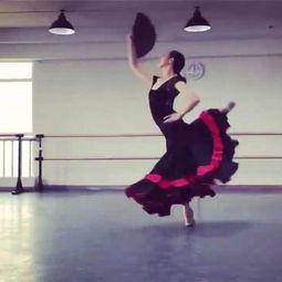 舞蹈成人双人剧目大全视频,成人双人舞蹈剧目精选集锦